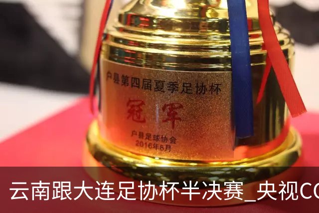 云南跟大连足协杯半决赛 央视CCTV有直播 前北京国安外援马马杜还能再立奇功吗