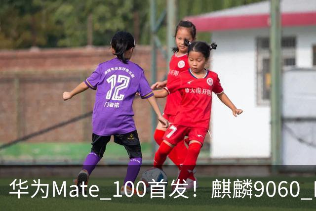 华为Mate 100首发！麒麟9060 Pro处理器升级更猛：良率提升明显