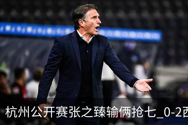 杭州公开赛张之臻输俩抢七 0-2西里奇收获亚军