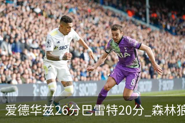 爱德华兹26分巴雷特20分 森林狼大胜猛龙