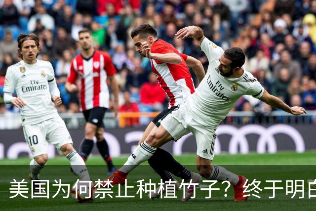 美国为何禁止种植竹子？终于明白，原来竹子比我们想象的更可怕