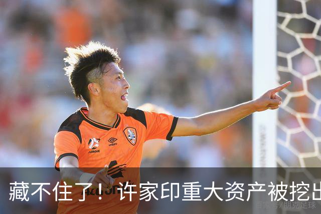 藏不住了！许家印重大资产被挖出，186.5亿转给了“重庆李嘉诚”