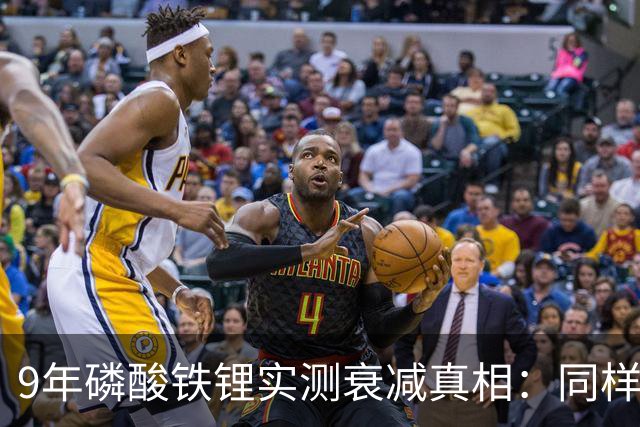 9年磷酸铁锂实测衰减真相：同样开9年，健康度差14%！车主必看